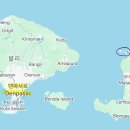 복섬 | 길리 트리왕안에서 해파리 물려서 여행자보험 받은 후기