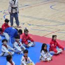 충효태권도체육관 이미지