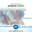 대성라인