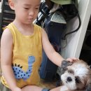 이세현헤어 - 유성구 | 이세현헤어
