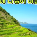 대나무집 민박 이미지