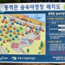용두해수욕장숲속야영장 이미지