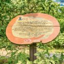 당포의아침 이미지