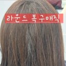 해르헤어