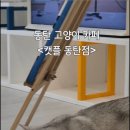 캣플 동탄점 이미지