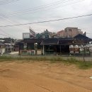 솔향기 | 원당 쭈꾸미 솔향기vs원당쭈꾸미 맛 비교 내돈내산 솔직후기