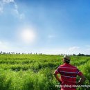 들판농장 이미지