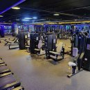 내몸에 라인을 더하다 이미지