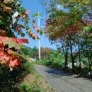 산머루펜션 이미지