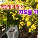 차오름 이미지