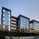 매원초교 이미지