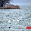 고니농장 이미지