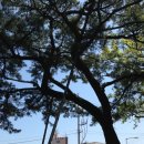 향로노인회관 이미지