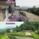 잔디놀이터 이미지