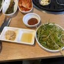 멧집찌개 티스토리