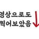 해산물포차취아전 네이버블로그