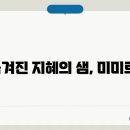 미미르 이미지