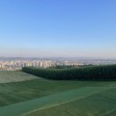 어등산CC | 광주 어등산CC 3부 야간 골프 라운딩 후기⛳