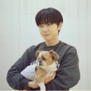 봉구 이미지