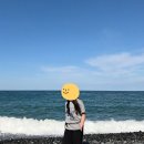 몽돌서재주차장 공중화장실 | 울산 가볼만한곳 울산 여행 코스｜태화강국가정원·소품샵·주전몽돌해수욕장