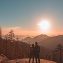 총신대학교 상담대학원 이미지