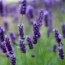 건강마트 이미지