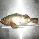 문희철정형외과의원 이미지