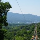 둔산대공원 입구(버스정류장) | 과천 서울대공원 동물원 리프트 패키지 경기도 관광지 예약법