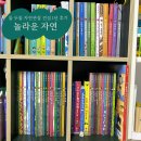 돌 두돌 자연관찰 전집 추천 | 그레이트북스 놀라운 자연 1년 사용 후기