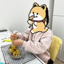 몽땅멍냥 네이버블로그