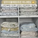 [양주 이불창고매장] 가성비 좋은 허니베딩 이불세트 구매 후기 🍯