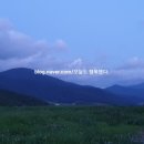 거제옥산숲 이미지