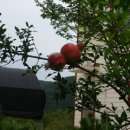 해오름펜션 이미지