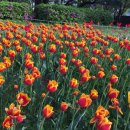 연지공원 이미지