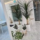 안산왁싱 솔직 후기! 더가꿈 프리미엄왁싱 하드&amp;슈가링&amp;브라질리언 경험담
