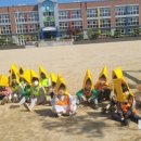 남산초등학교 병설유치원 이미지