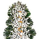 다산나정 이미지