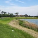 뱃돼지에 기름칠 이미지