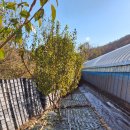 [귀농에세이] 가을을 지나가며 이미지