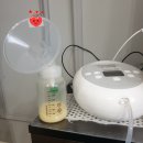 한마음케어 | 창원 한마음산후조리원 솔직한 후기(장단점, 아기케어, 마사지, 식사 등)