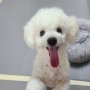 주식회사 오월 이미지