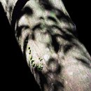 내안에너 이미지