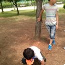 도일초등학교 이미지