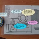 라디오닉스 이미지