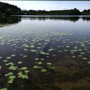 에스씨엘㈜ 이미지