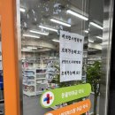셀약국 | 연희동 동물약국 연희종로약국 고양이 셀라이트 후기