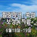 [클릭하세요] 수국, 백합 초여름꽃이 활짝 피어난 섬속의 힐링파크 "쑥섬" 이미지