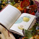 마녀의정원 이미지