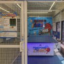 탁구1 | 울산대 무인 짱탁구장 후기 - 1인 로봇 탁구 체험과 땅콩빵 리뷰