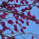 상록이비인후과의원 이미지